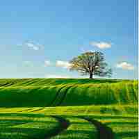 Pure DNS(智﻿能‌解﻿析‌优​化‌)